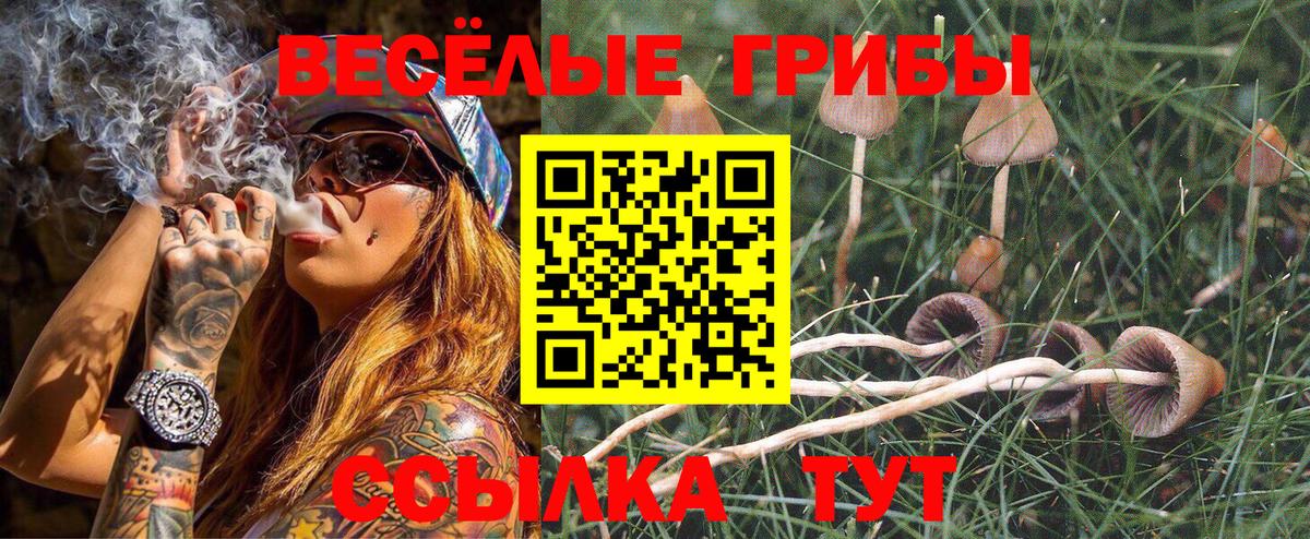 Псилоцибиновые грибы Magic Shrooms  Вход с VPN  Ишим 